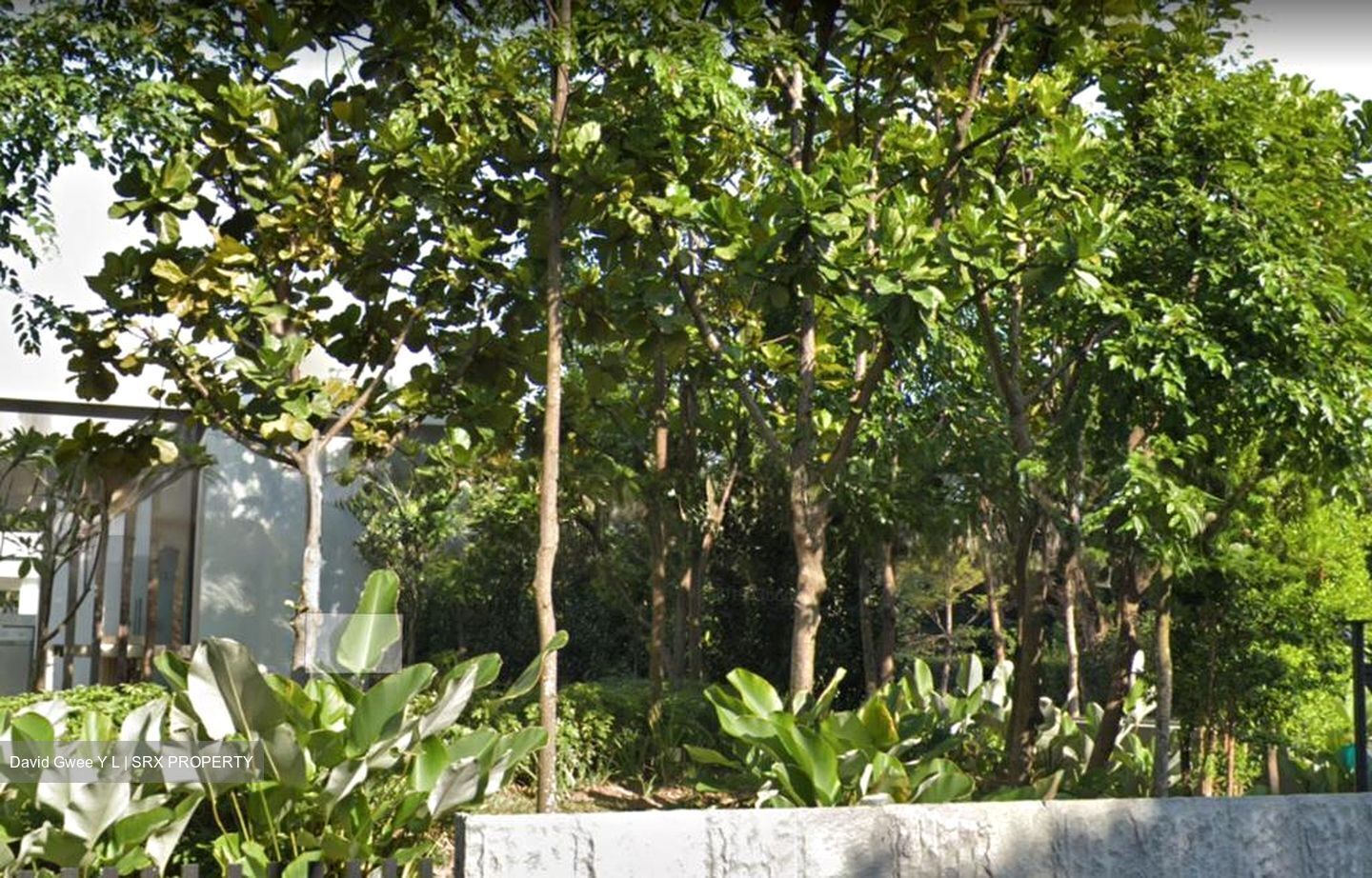 Bukit Timah Road (D10), Detached #546507671